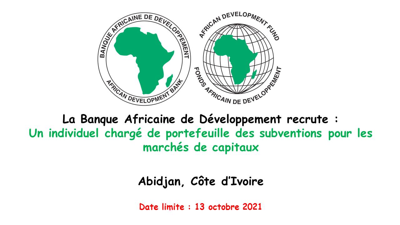 La Banque Africaine de Développement recrute un consultant individuel