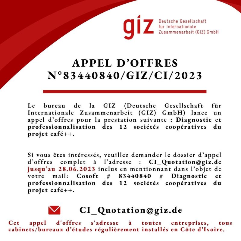 La Giz Lance Un Appel Doffres Pour Le Diagnostic Et