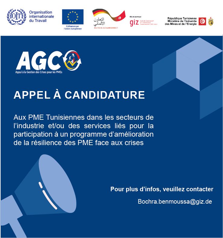 Avis d appel à candidatures aux PME Tunisiennes dans les secteurs de l