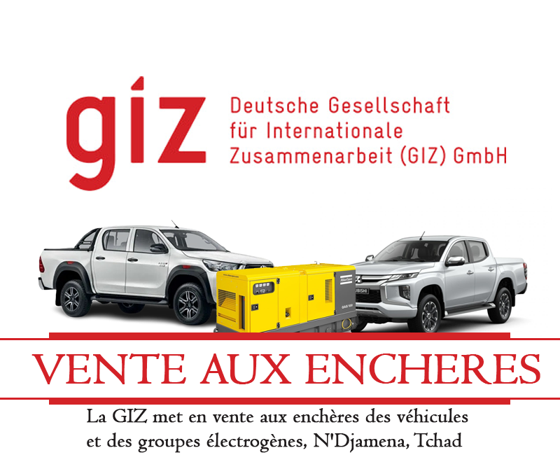 La Giz Met En Vente Aux Ench Res Des V Hicules Et Des Groupes