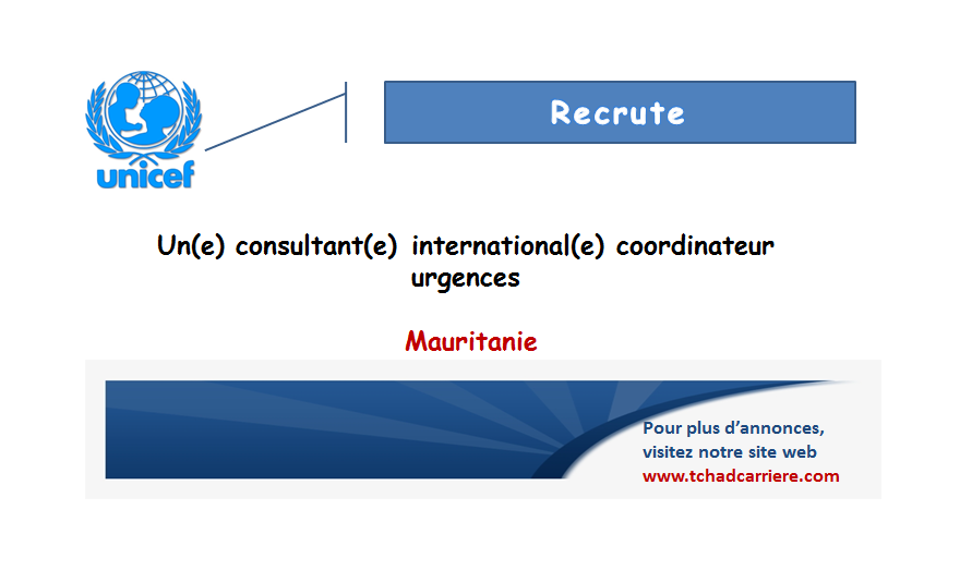 L Unicef Recrute Un E Consultant E International E Coordinateur