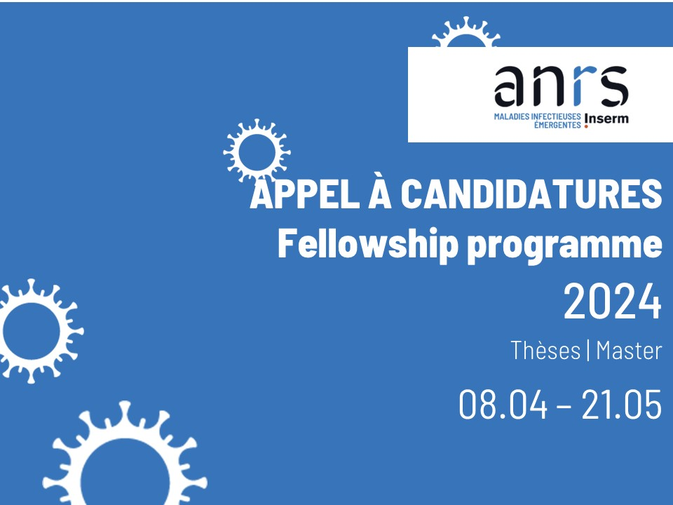 Avis D Appel Candidatures Pour Le Fellowship Programme Pour Des Th Ses De Master De L