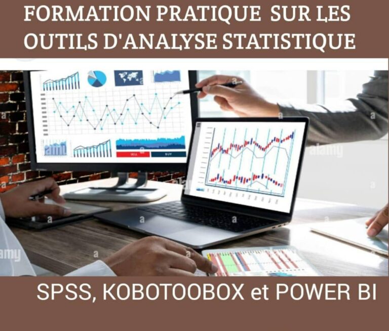 Avis D'appel à Candidatures Pour La Formation Pratique Sur Les Outils D ...